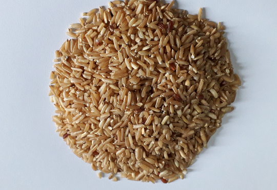 Rice Image