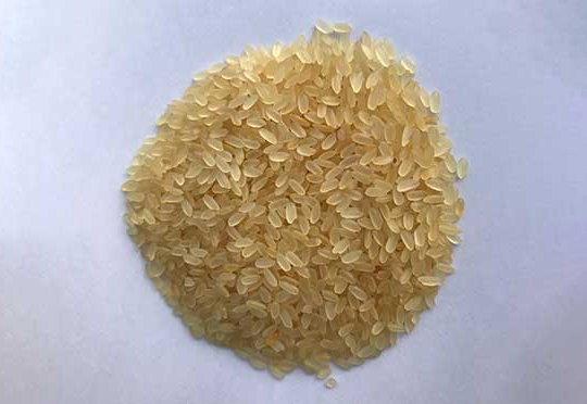 Rice Image